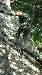 Vyfoceno 2009:08:11 16:52:30