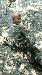 Vyfoceno 2009:08:11 16:56:25