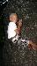 Vyfoceno 2009:08:11 18:17:16