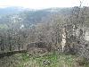 Vyfoceno 2010:04:17 16:22:43