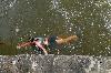 Vyfoceno 2011:08:02 11:58:26