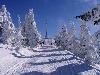 Vyfoceno 2006:02:25 13:28:21