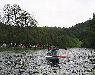 Vyfoceno 2006:05:21 09:49:21