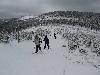 Vyfoceno 2007:02:03 11:40:22