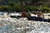 Vyfoceno 2007:07:26 15:49:27