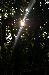 Vyfoceno 2006:07:04 18:17:30