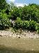 Vyfoceno 2006:07:06 12:48:05