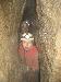 Vyfoceno 2008:11:08 20:42:06