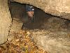 Vyfoceno 2008:11:08 22:19:51